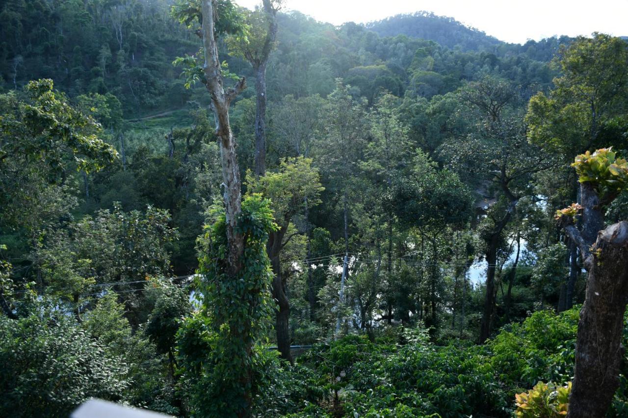 River View Guest House มาดิเครี ภายนอก รูปภาพ